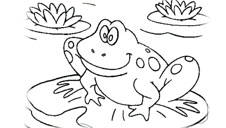960x544 Frog Life Cycle Coloring Page Frog For Coloring Bullfrog Frog