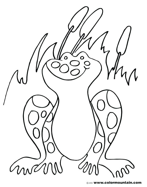 618x788 Coloring Coloring Page Of Frog Frogs Pages Printable The Bullfrog