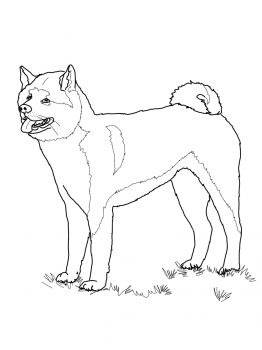 Bullmastiff Coloring Pages
