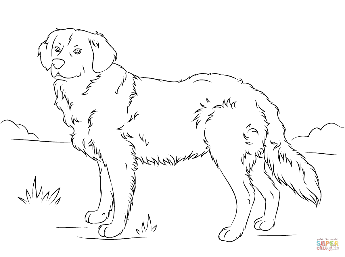 1200x895 Golden Retriever Puppies Coloring Pages Many Interesting Cliparts