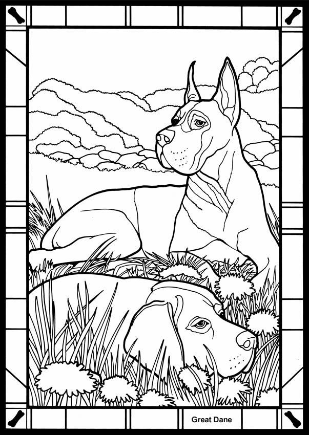 603x850 Greyhound Coloring Pages Inspirational Bullmastiff Coloring Page