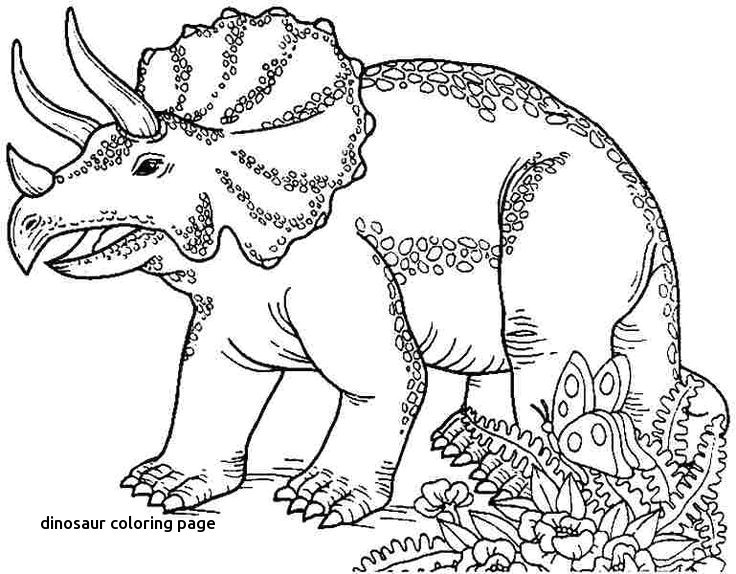 736x574 Beautiful Raptor Coloring Pages Coloring Ws