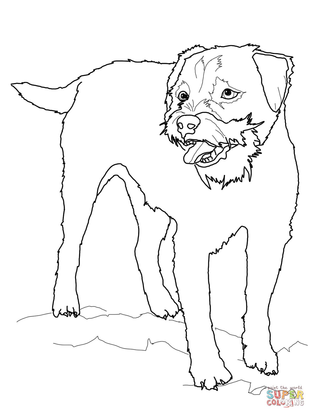 1200x1600 Border Terrier Super Coloring Dog Patterns
