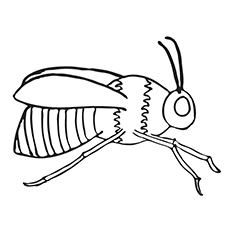 230x230 Top Bumblebee Coloring Pages For Your Little One