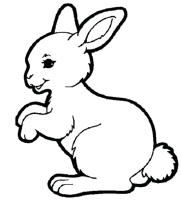 600x680 Bunny Rabbit Coloring Page Coloring Pages Of Bunnies Rabbits