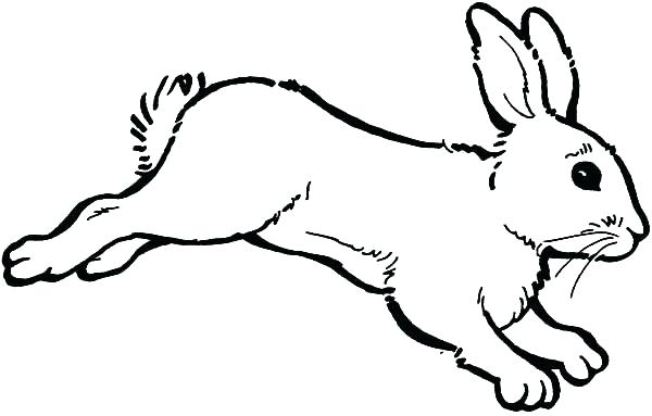 600x383 Bunny Rabbit Coloring Pages Bunny Rabbit Coloring Pages Print