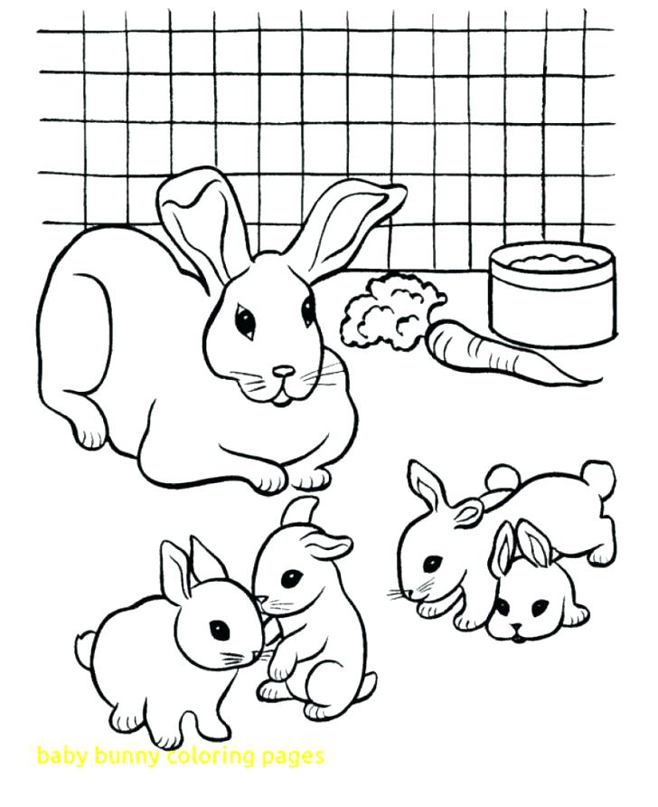 728x892 Baby Rabbit Coloring Pages Bunnies Coloring Pages Baby Bunny