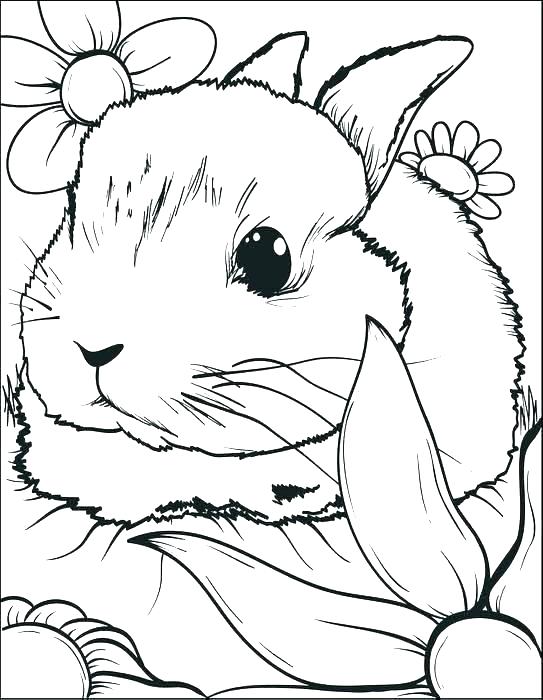 543x700 Rabbit Coloring Page Rabbit Coloring Page Bunny Coloring Pages