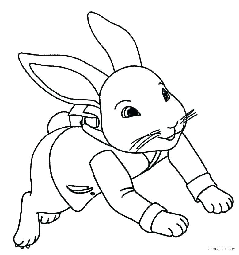 Bunny Coloring Pages Free Printable at GetDrawings.com | Free for