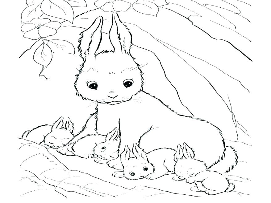 878x659 Baby Bunny Coloring Pages Rabbit Coloring Pages Free Printable