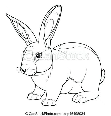450x470 Rabbit Coloring Page Rabbit Coloring Page Bunny Coloring Pages
