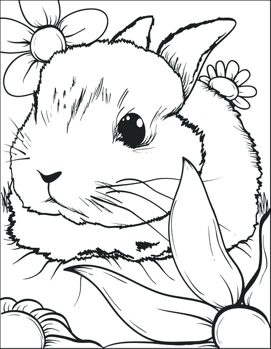 543x700 Printable Bunny Coloring Pages Printable Bunny Coloring Pages