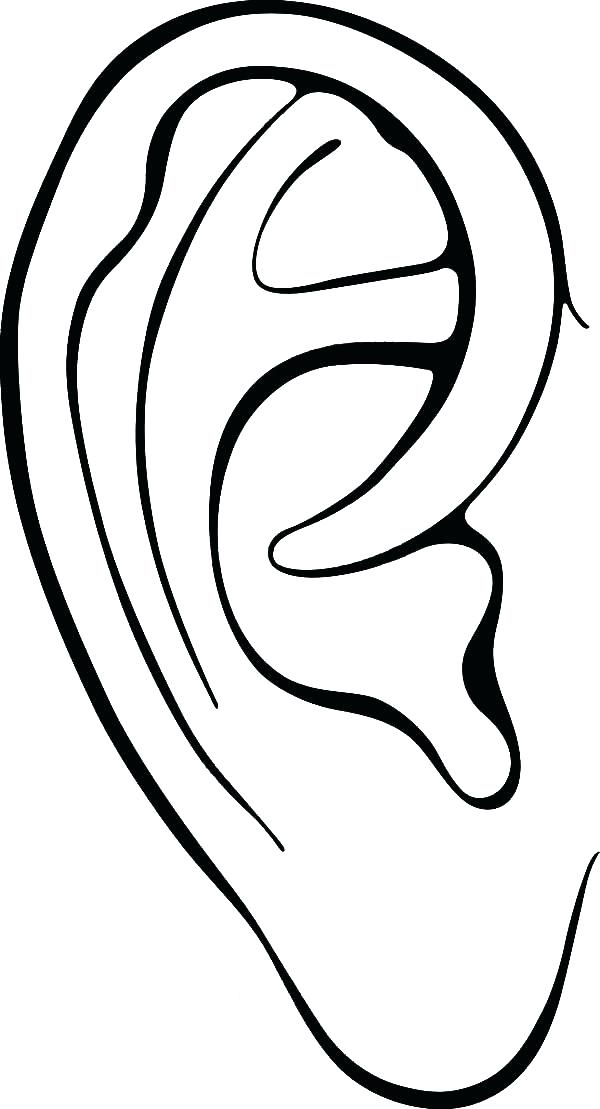 600x1109 Ear Coloring Page Ear Coloring Page Best Ear Coloring Page Picture