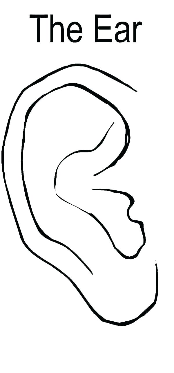 600x1285 Ear Coloring Sheets Coloring Pages Of Ears Ear Coloring Page Ear