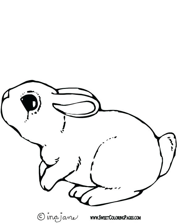 576x720 Bunny Coloring Pages Coloring Page Bunny Ears Coloring Page Ears