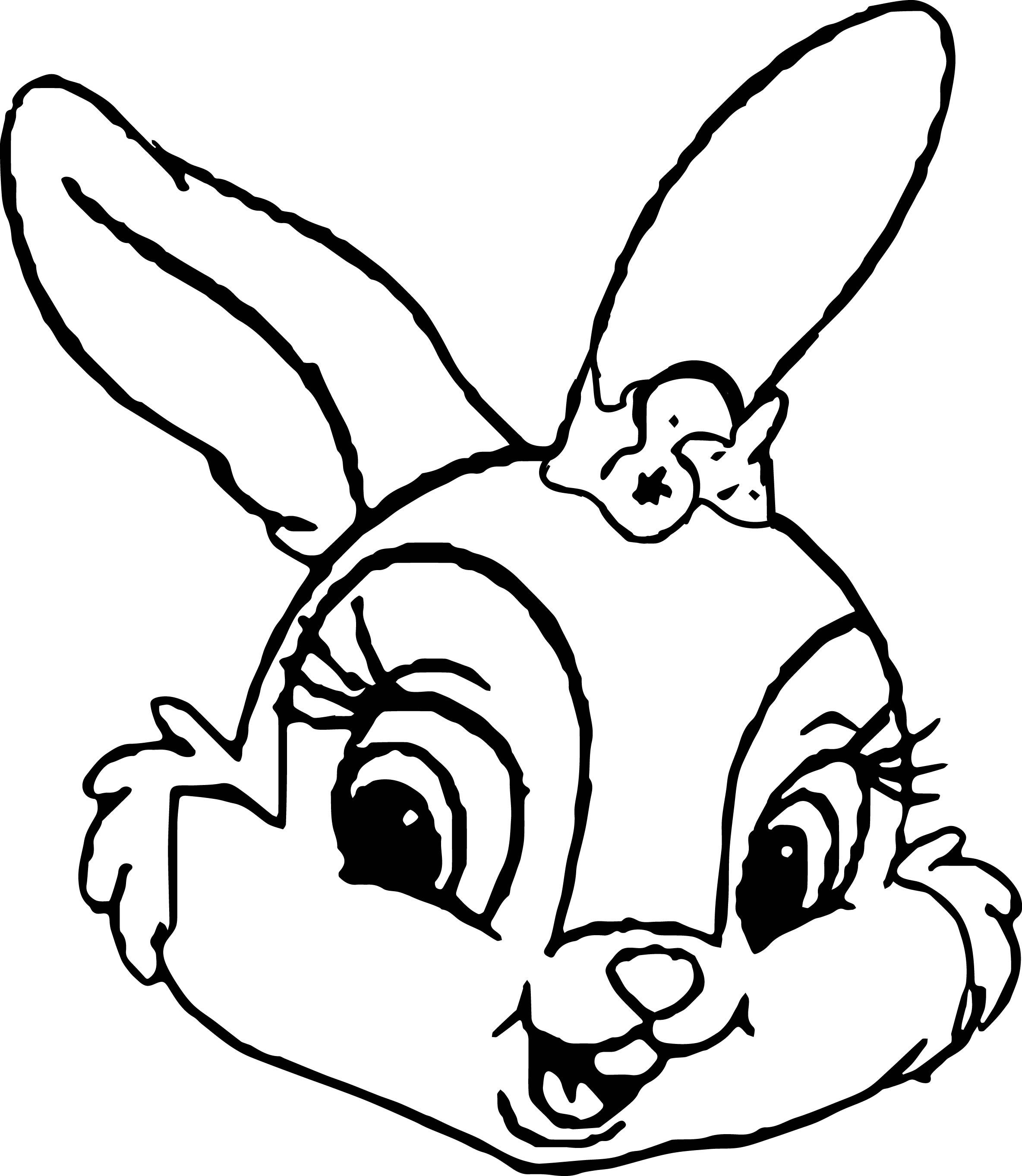 2368x2725 Shocking Thumpers Sisters And Miss Bunny Face Coloring Pages