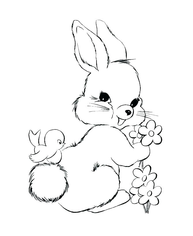 670x820 Coloring Page Bunny Rabbit