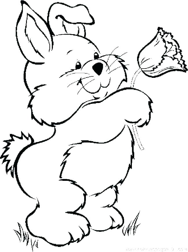 650x871 Rabbits Coloring Pages