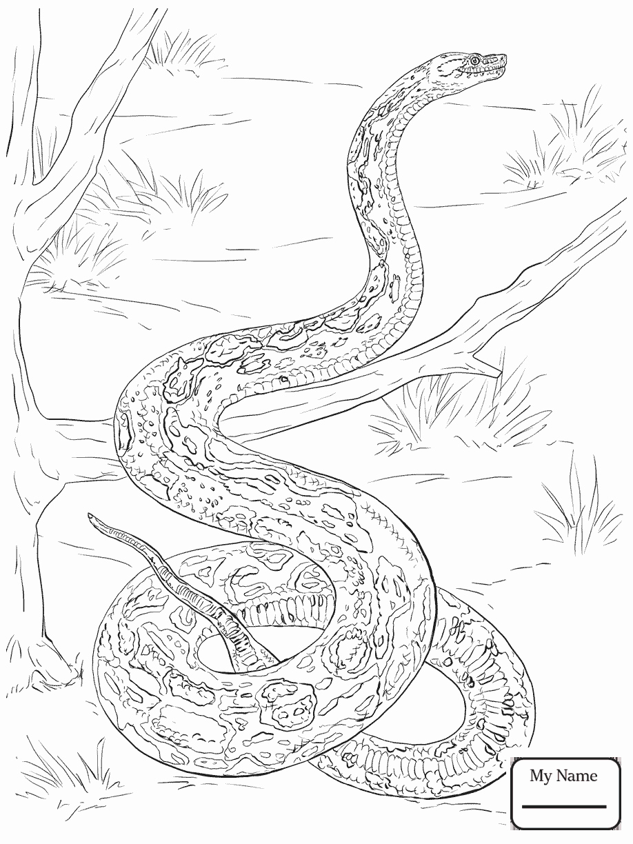 The best free Python coloring page images. Download from 61 free