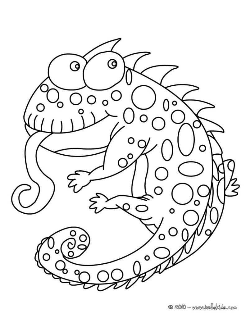 792x1024 Reptiles Coloring Pages