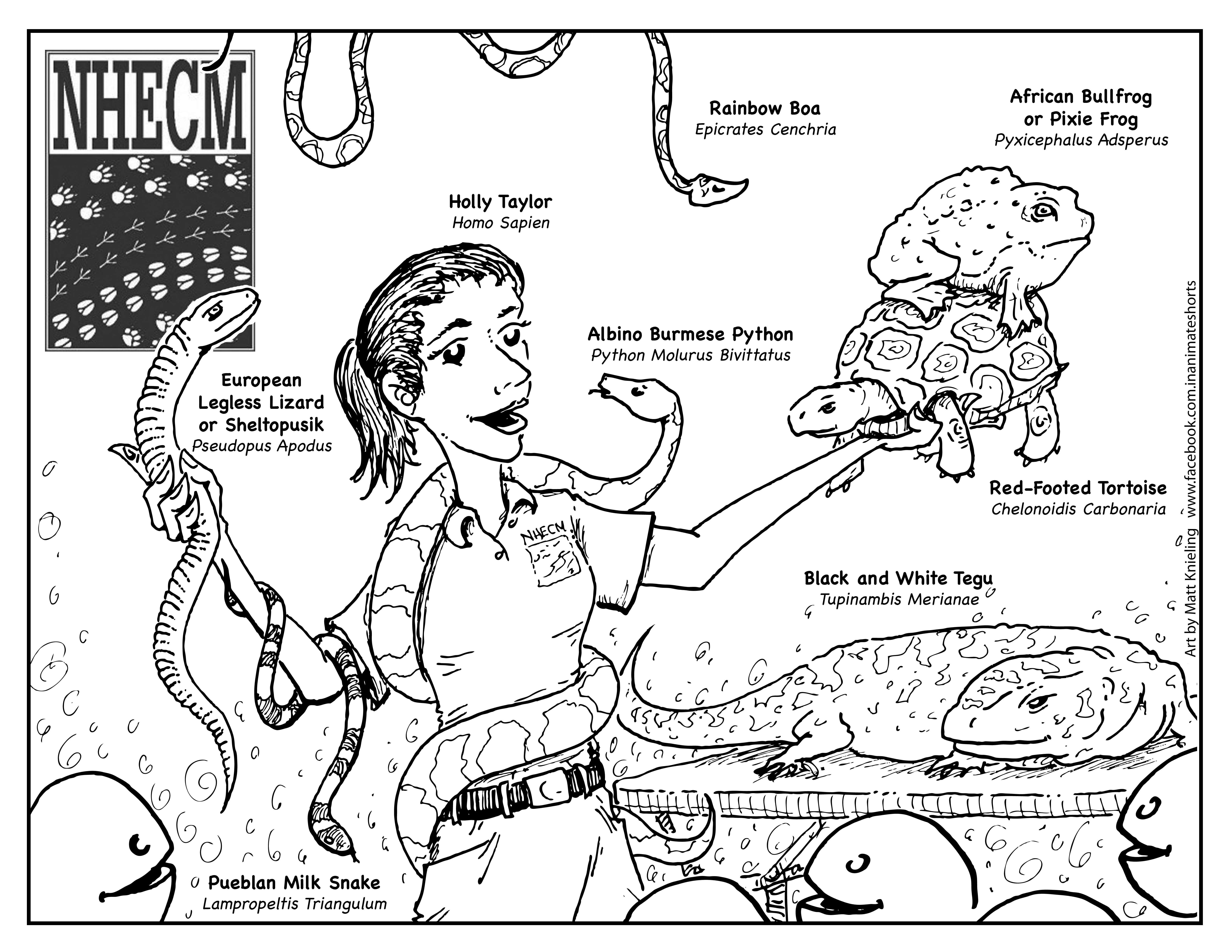 6600x5100 Skill Reptile Pictures To Color Attractive Inspiration Ideas