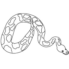 230x230 Top Free Printable Snake Coloring Pages Online