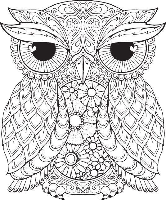 535x645 Detailed Owl Coloring Pages Awesome Burrowing Owl Coloring Page