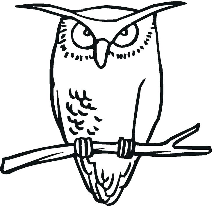 Burrowing Owl Coloring Page at GetDrawings | Free download