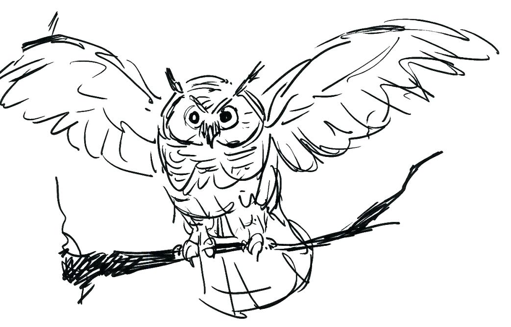 1043x669 Great Horned Owl Coloring Page Free Printable Owls Burrowing Owl