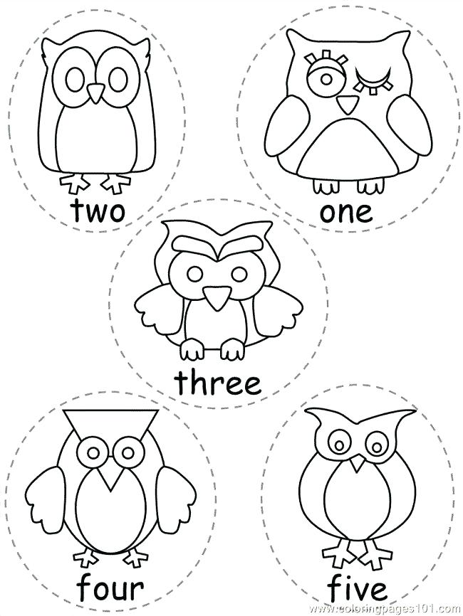 650x866 Owl Coloring Page Printable Burrowing Owl Printable Coloring Page