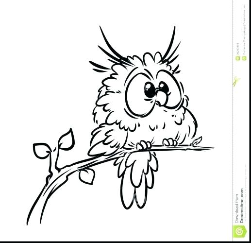 517x500 Owl Coloring Page Printable Pin Burrowing Owl Printable Coloring