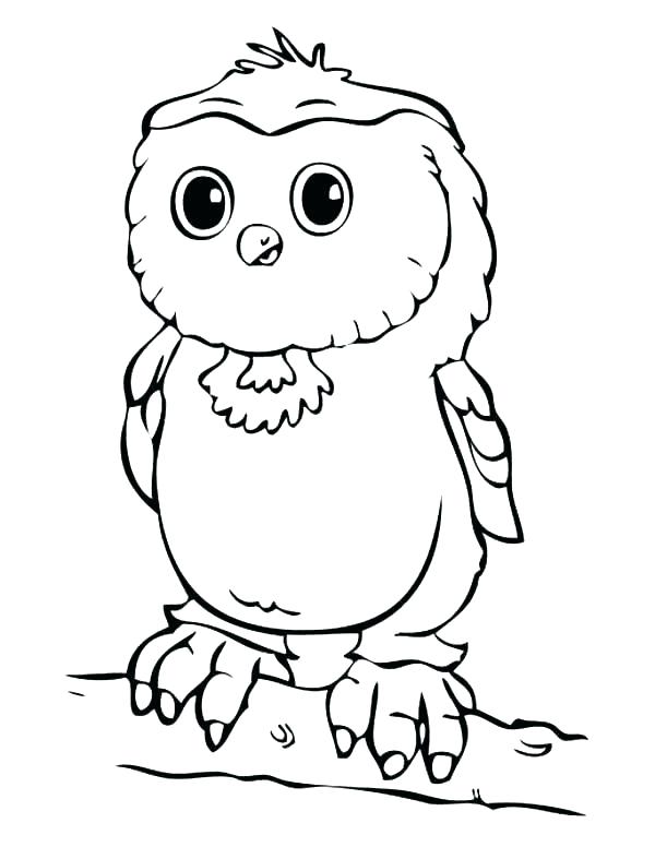 600x776 Owl Coloring Sheets Printable Coloring Pages Coloring Book Owl