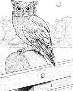 236x296 Printable Owl Coloring Page Coloring Pages Owl