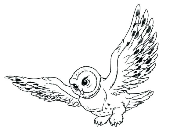 580x441 Snowy Coloring Pages Kids Snowy Owl Coloring Pictures