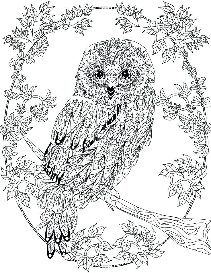 736x952 Snowy Owl Coloring Pages Snowy Owl Coloring Page Owl Coloring