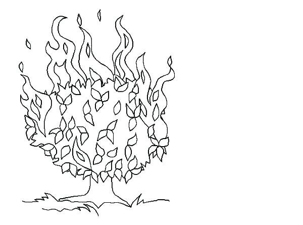 600x445 Moses And The Burning Bush Coloring Page