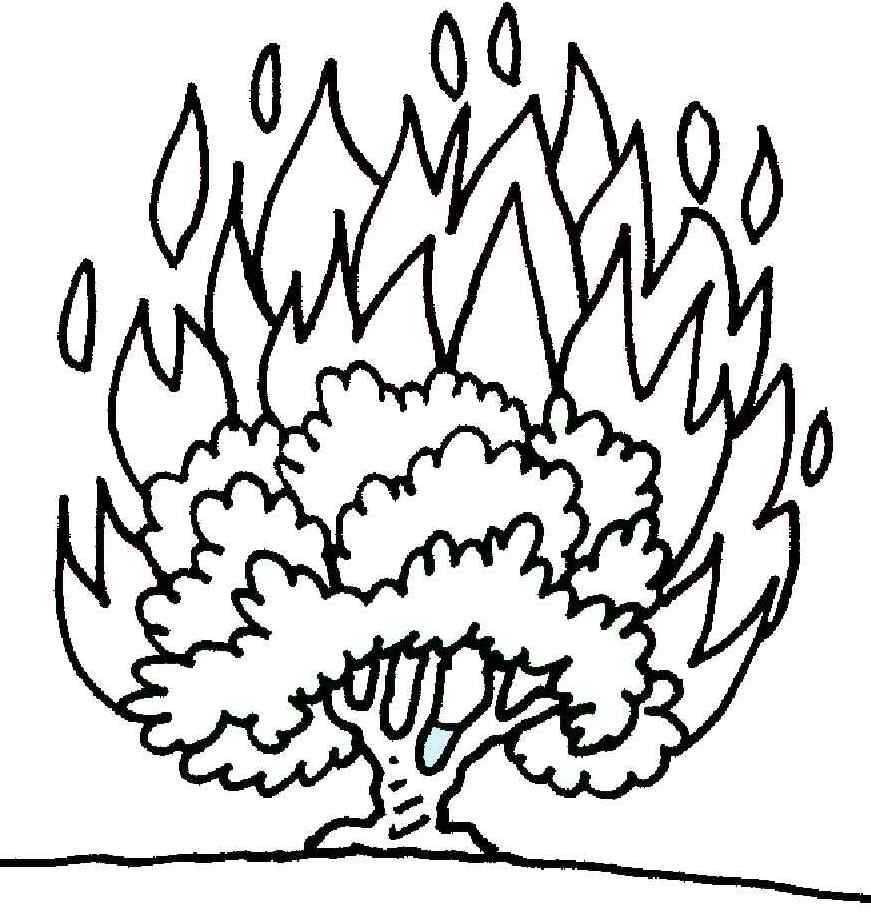871x919 Burning Bush Coloring Page Printable Coloring Pages Church