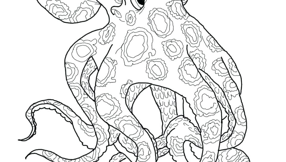 960x544 Online Coloring Pages Valentines Day Charming Octopus Contemporary