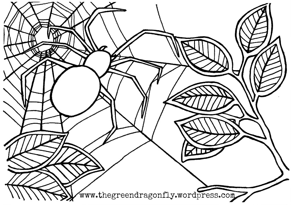 1000x707 Spider Coloring Pages Elegant The Very Busy Spider Coloring Pages