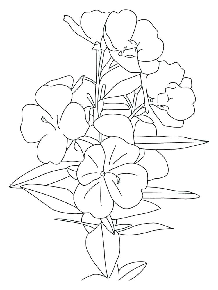 750x1000 Buttercup Coloring Pages Surprising Colour Pages Best Of Chase