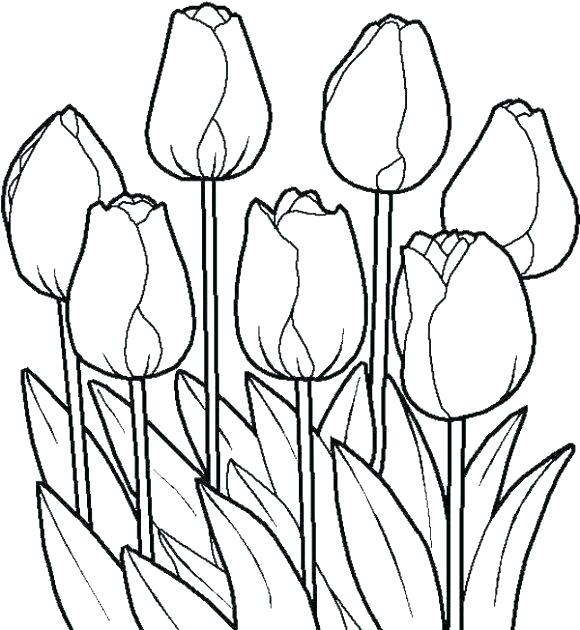 580x630 Flower Coloring Pages Pdf Together With Inspirational Free Flower