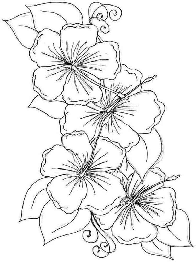 750x1000 Hibiscus Flower Coloring Pages Download And Print Hibiscus Flower