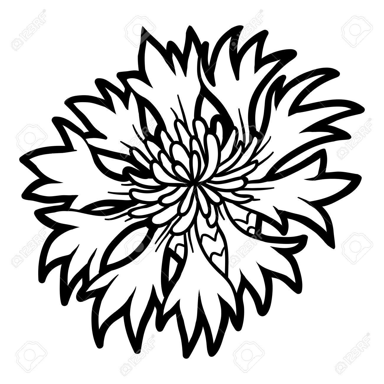 1300x1300 Awesome Coloring Book For Children Flower Cornflower Royalty