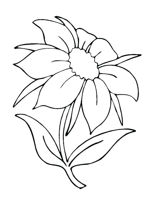 548x685 Flower Bouquet Coloring Pages