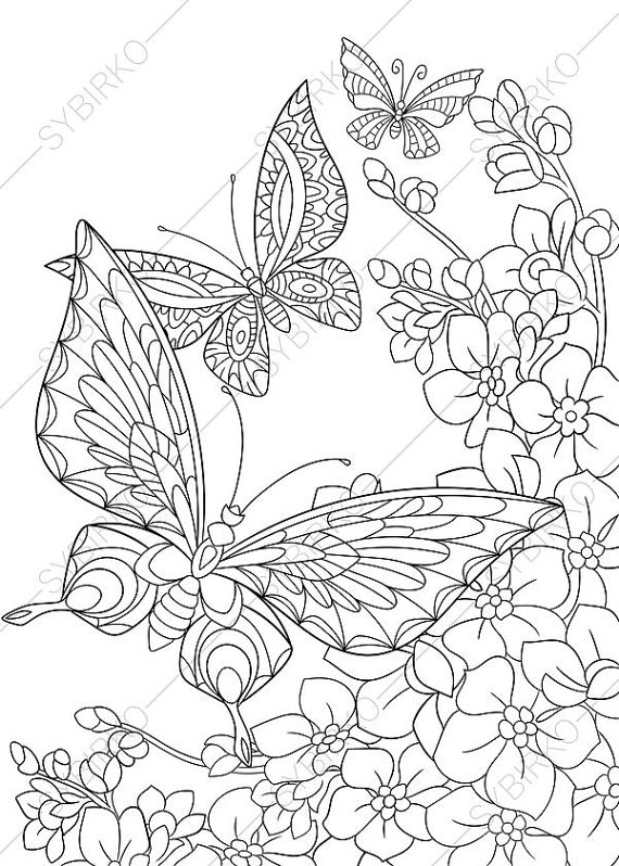 570x798 Butterfly And Spring Flowers Coloring Pages Animal