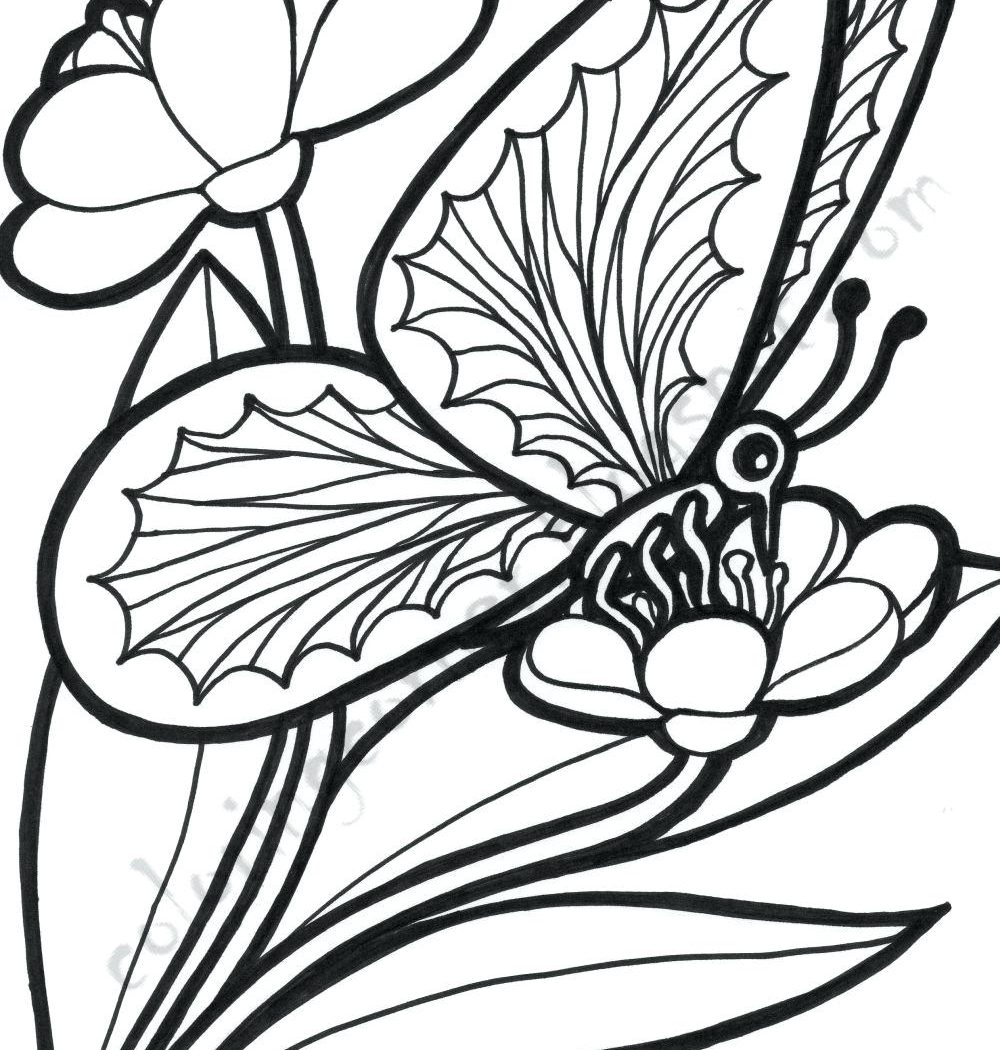 1000x1050 Fresh Free Printable Flower Coloring Pages For Adults