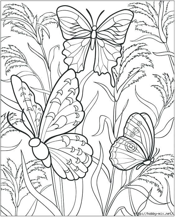 563x699 Simple Butterfly Coloring Pages Free Butterfly And Flower Coloring