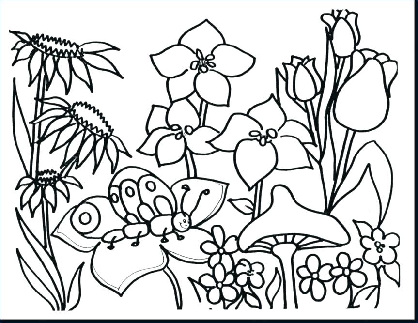 863x667 Butterflies And Flowers Coloring Pages For Adults Great Printable
