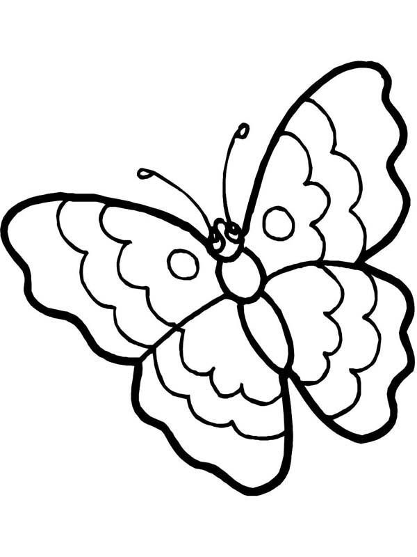 600x800 Cartoon Butterfly In Sad Eyes Coloring Page