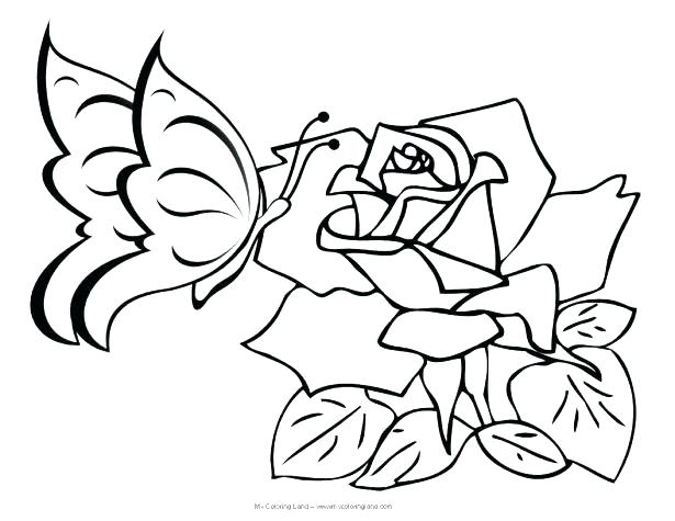 615x475 Coloring Pages Of Flowers And Butterflies Cartoon Butterfly